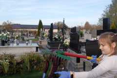 IMG-20221111-WA0001