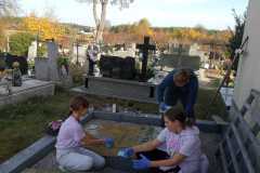 IMG-20221111-WA0005