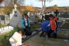 IMG-20221111-WA0007