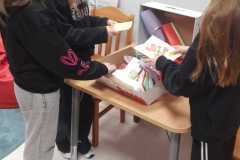 IMG-20250217-WA0005
