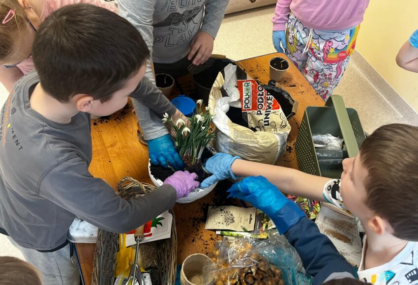 53f5cf9c 0ca8 4b80 a64c d9d4634528cb